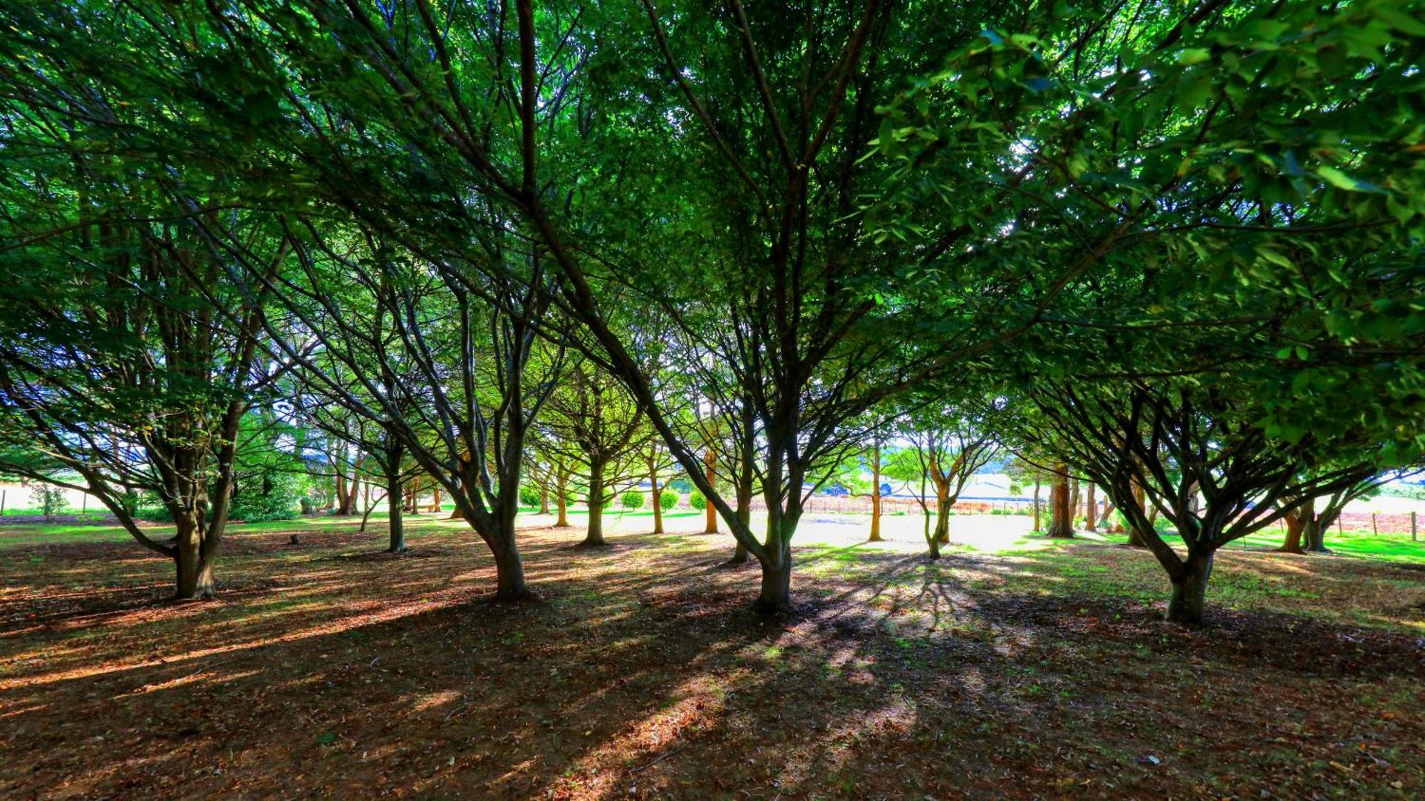 Boat Harbour Garden Cottages Bagian luar foto