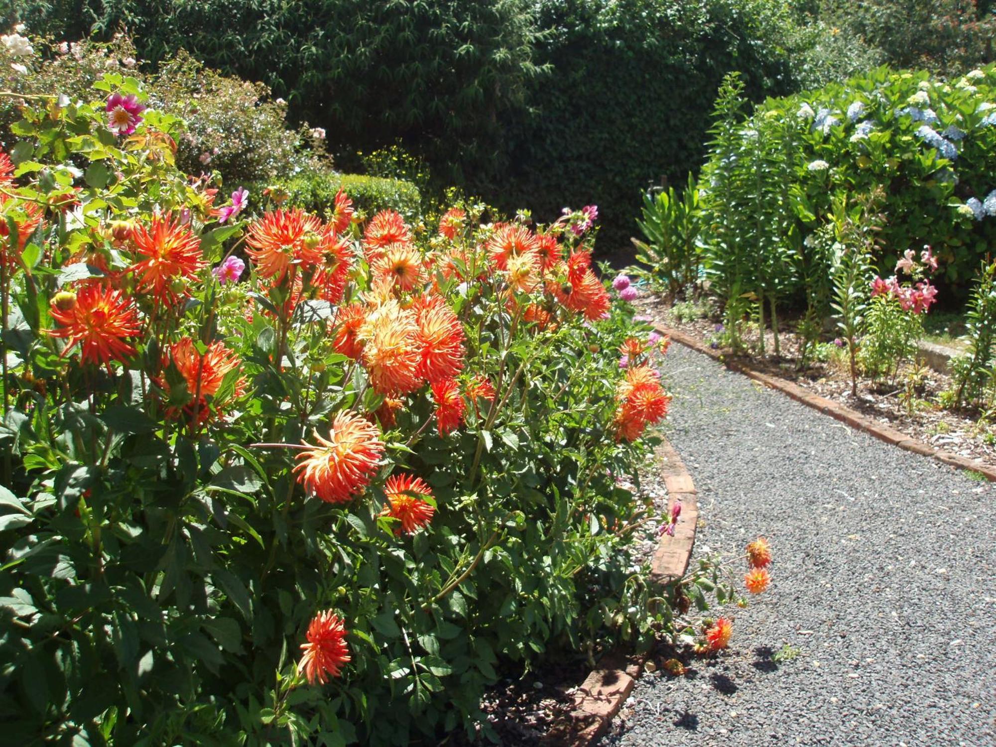 Boat Harbour Garden Cottages Bagian luar foto